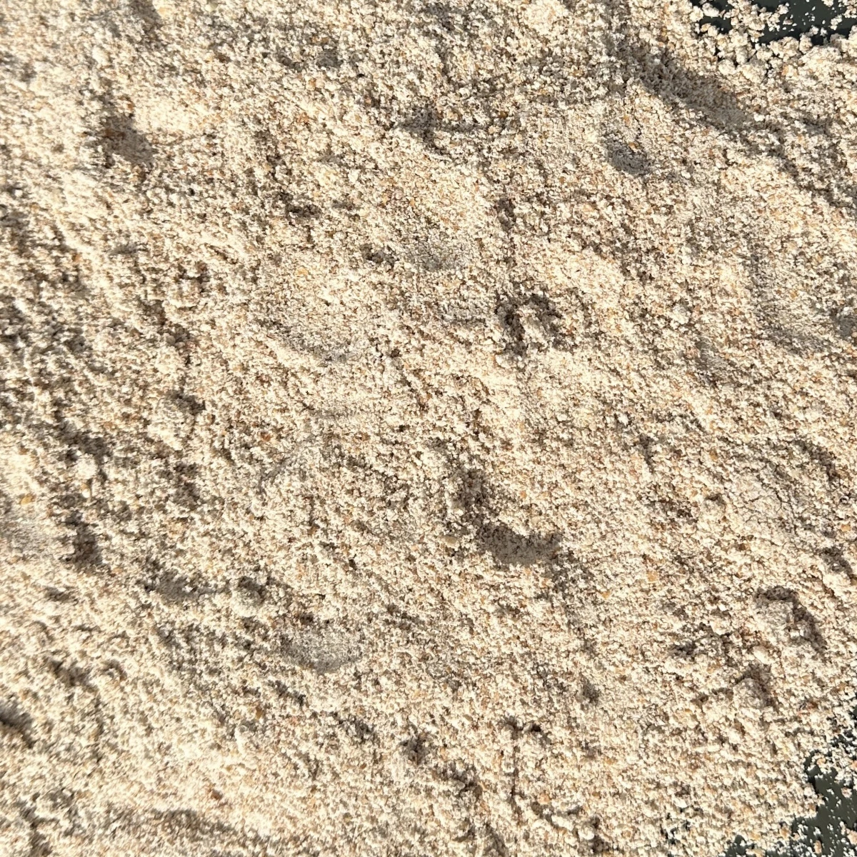 Faina de Alune 5KG